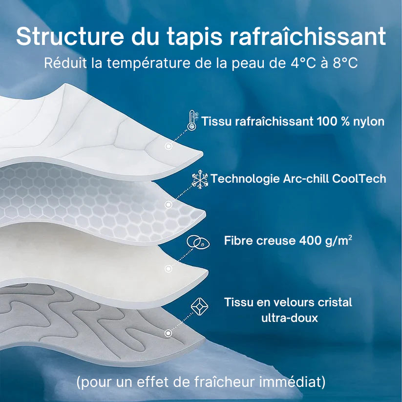 AniFresh – Le Tapis Rafraîchissant + 1 Gourde OFFERTE