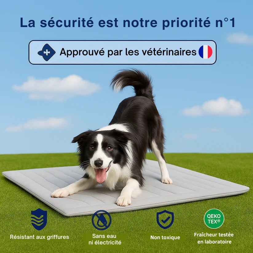 AniFresh – Le Tapis Rafraîchissant + 1 Gourde OFFERTE
