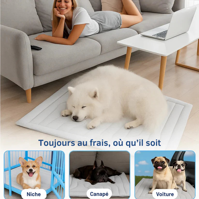 AniFresh – Le Tapis Rafraîchissant + 1 Gourde OFFERTE