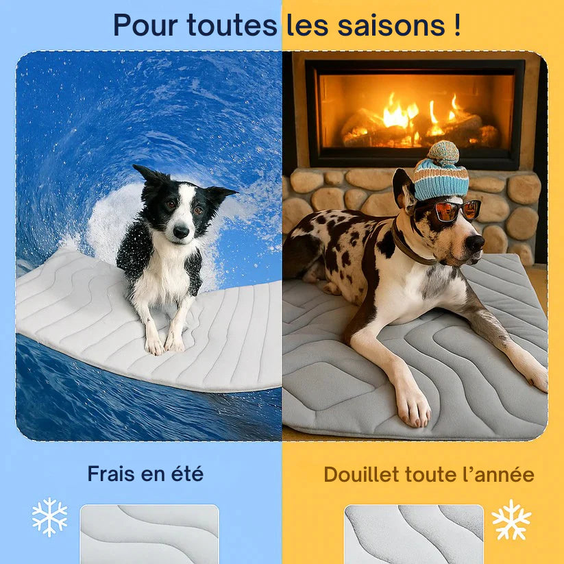 AniFresh – Le Tapis Rafraîchissant + 1 Gourde OFFERTE